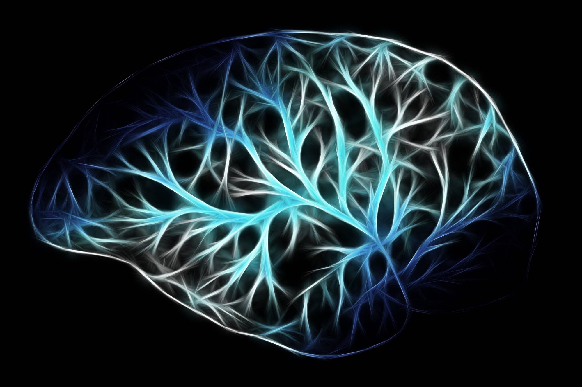 The Neuroscience of Virtual Reality & Health